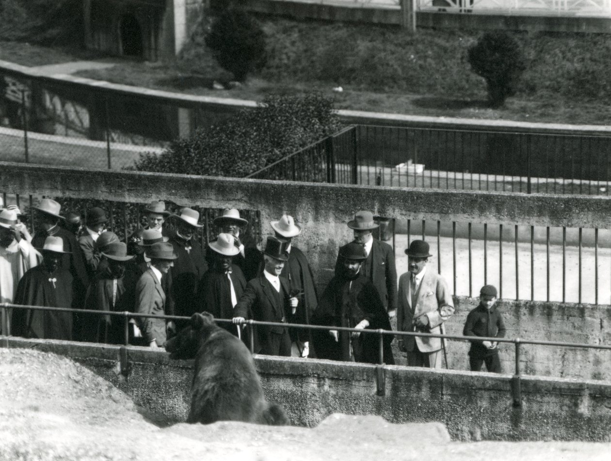 Sir Peter Chalmers Mitchell, sammen med den etiopiske regent Haile Selassie og hans følge, mens de ser en brunbjørn på Mappin Terraces, London Zoo, 1924 af Frederick William Bond