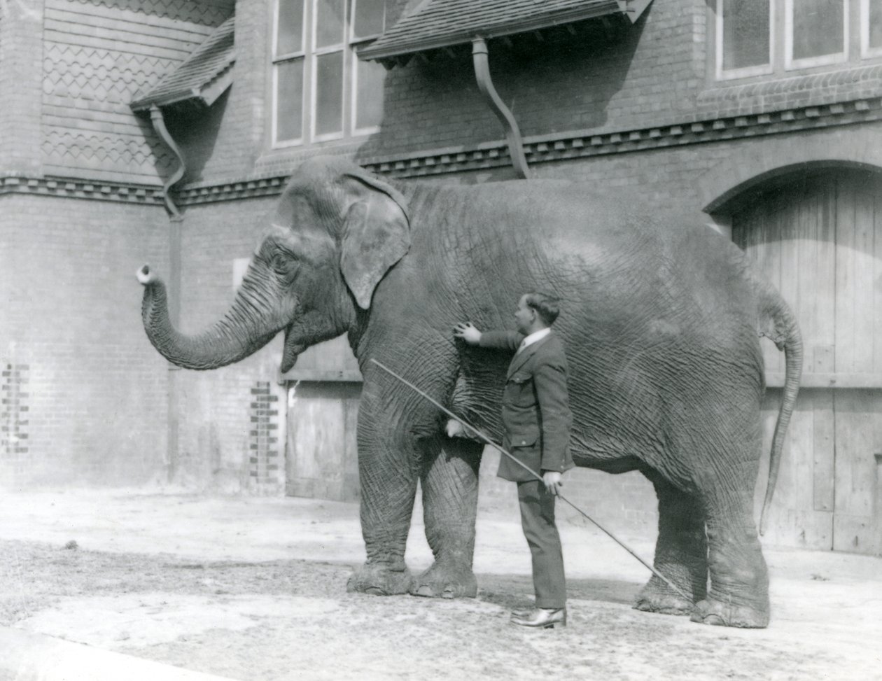 Syed Ali, træner indiarani foran Elephant House, London Zoo, august 1923 (bw foto) af Frederick William Bond