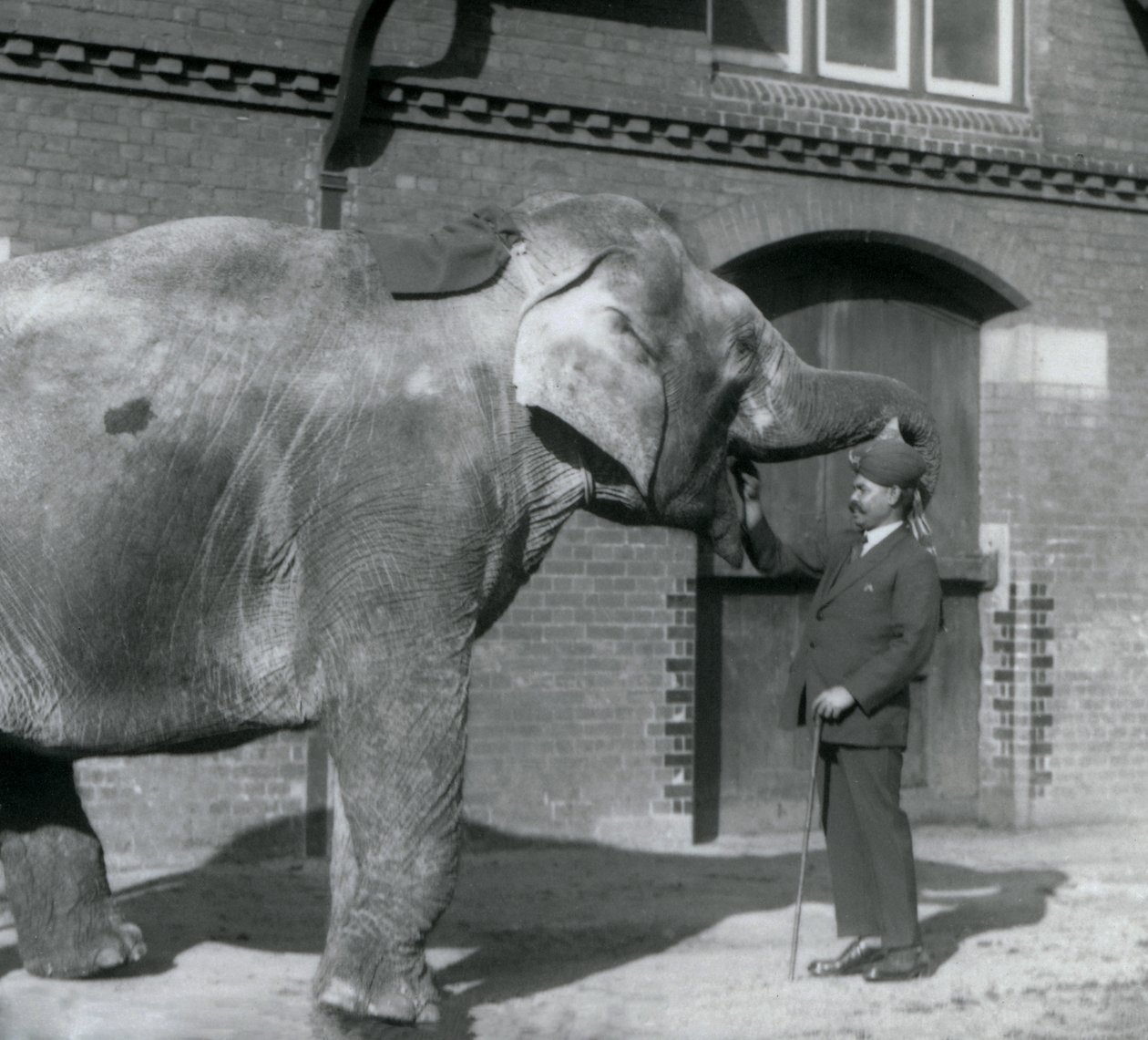 Syed Ali træner Indianani foran Elephant House, London Zoo, oktober 1925 af Frederick William Bond
