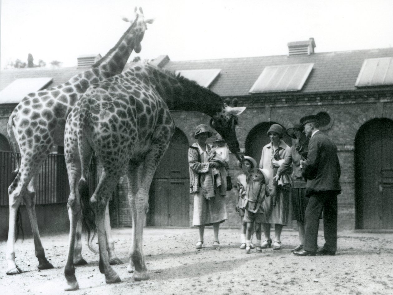 Tre damer med tre små børn besøger giraffen i deres fold uden for Giraffe House, London Zoo, juli 1926 af Frederick William Bond