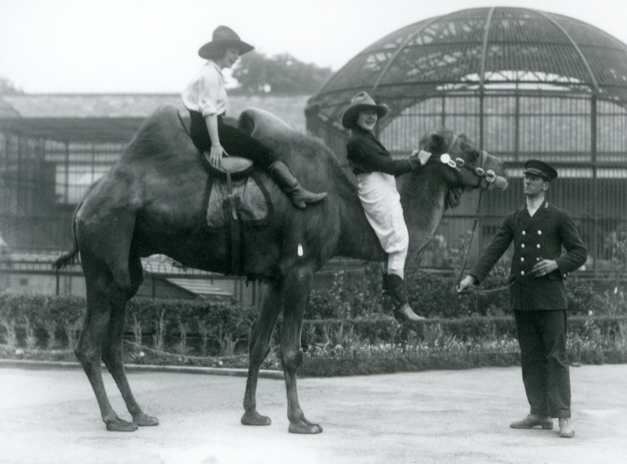 To Cowgirls poserer på en baktrisk kamel, som holdes af dens vogter, under et besøg i London Zoo i 1924 af Frederick William Bond