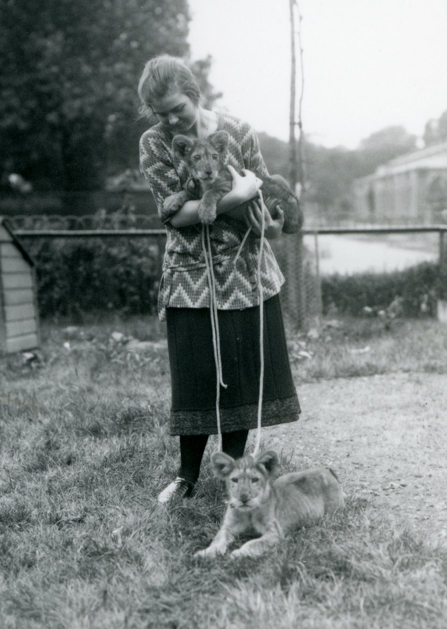 To løveunger med en ung kvinde i London Zoo i august 1925 af Frederick William Bond
