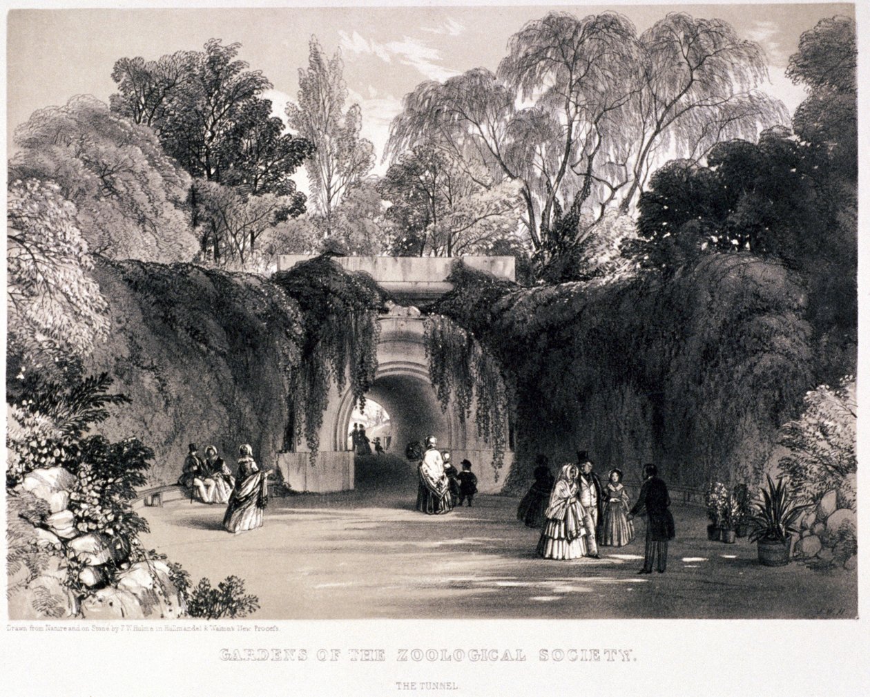 Zoologisk have, Regent