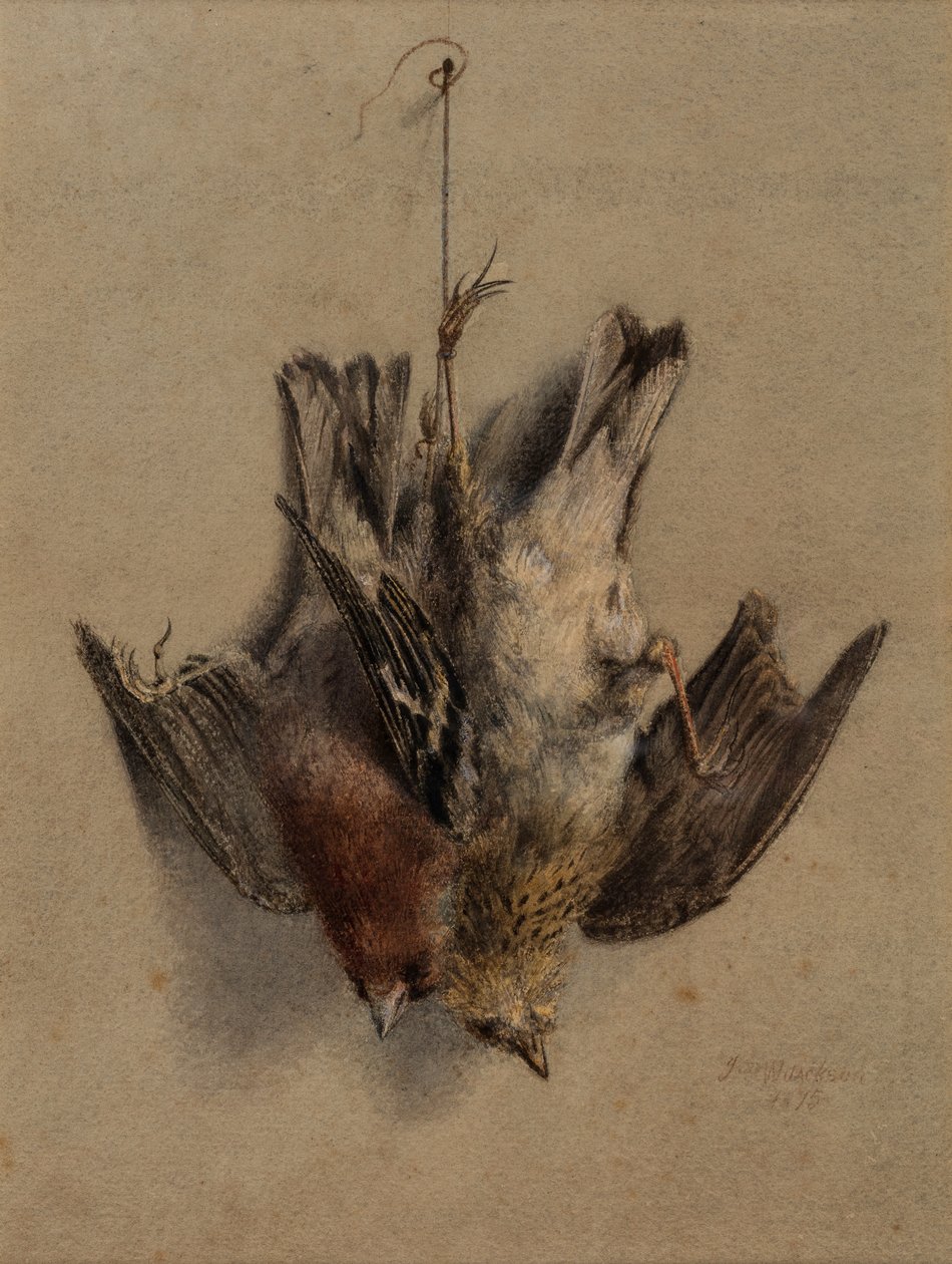 Stilleben, lærker af Frederick William Jackson