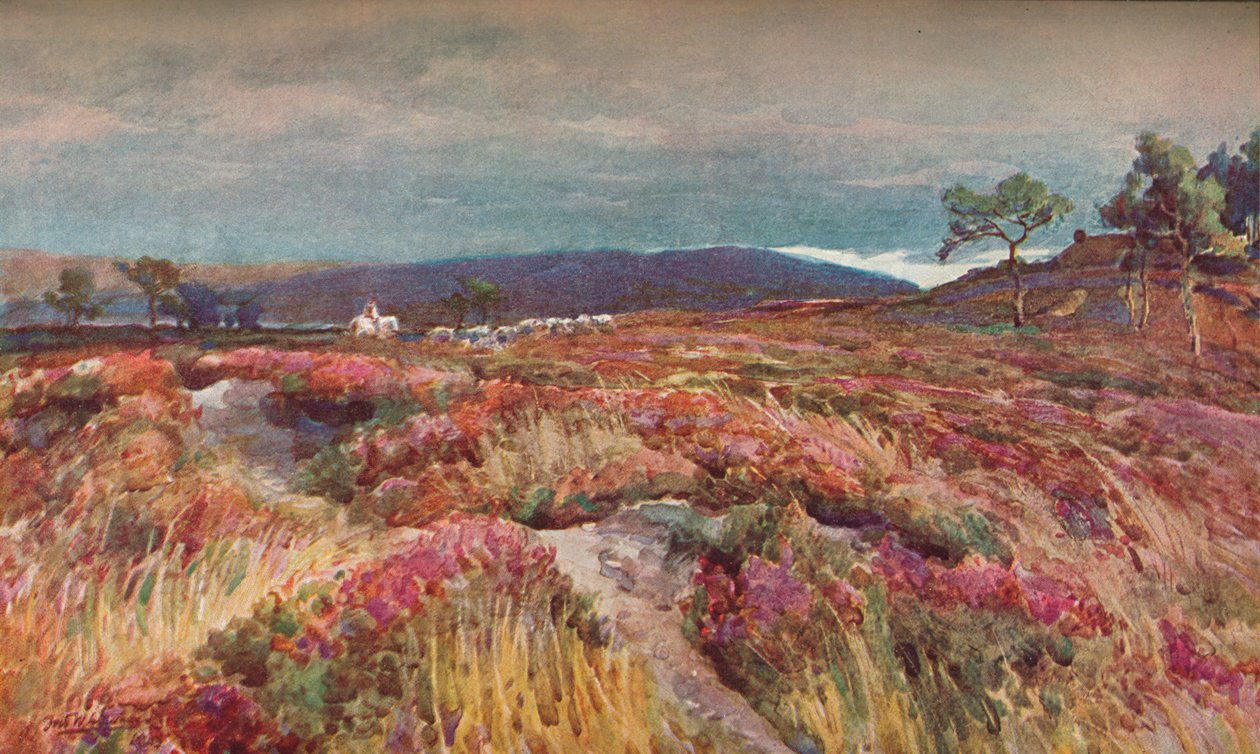On The Heath Lytchett Minster, c1904 af Frederick William Newton Whitehead