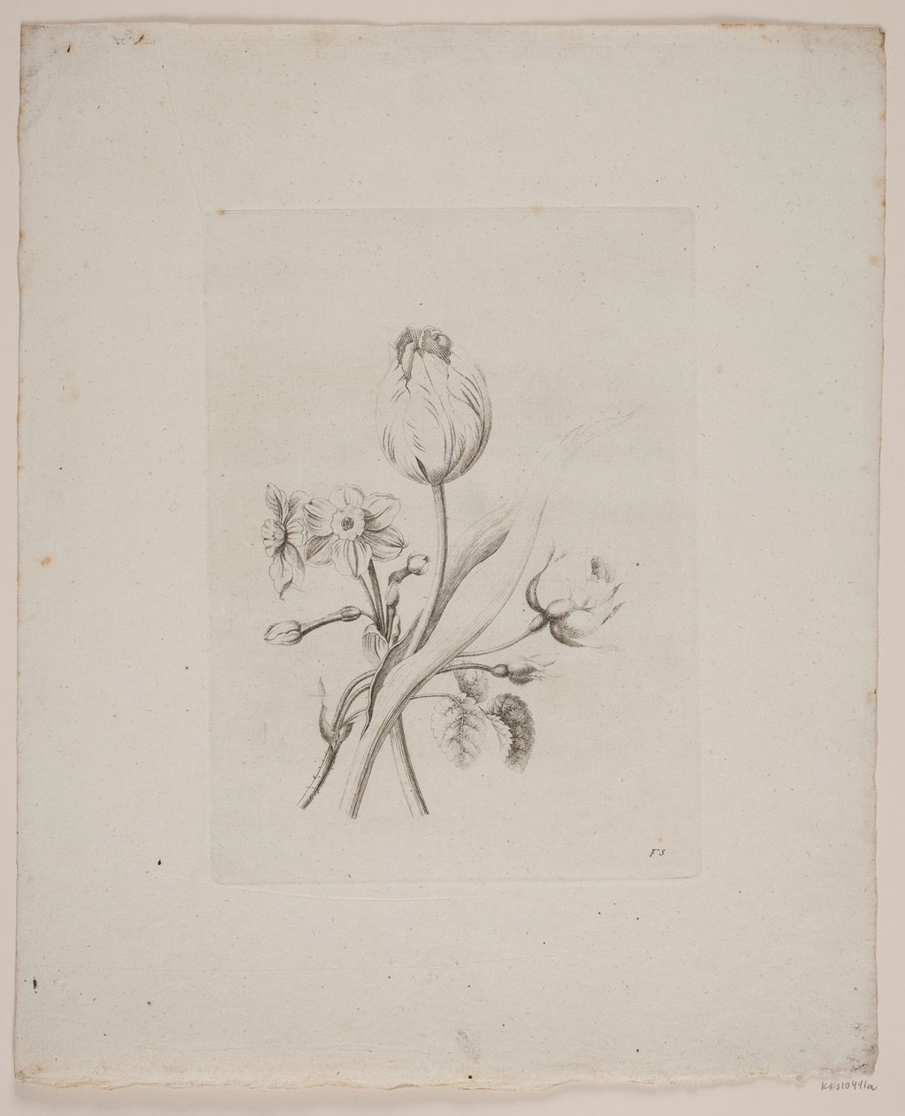 Blomstermotiv af Frederik Schepelern