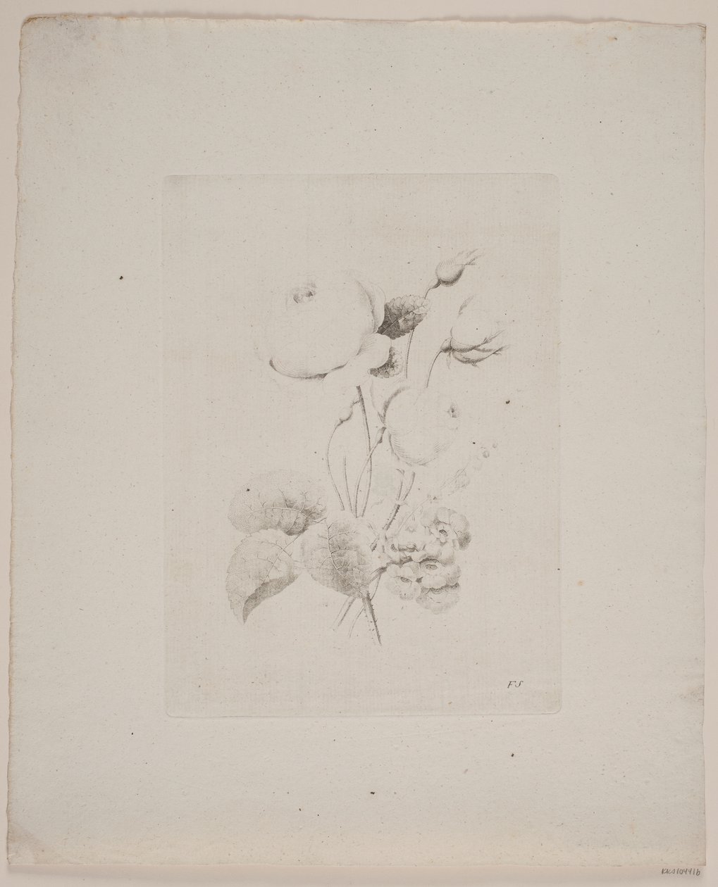 Blomstermotiv af Frederik Schepelern