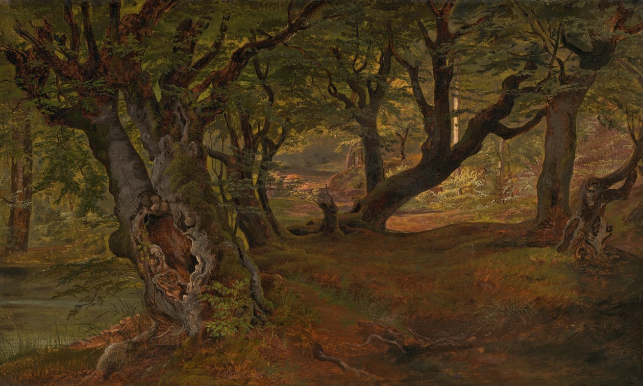 View of Bregentved Forest, Sjaelland af Frederik Sødring