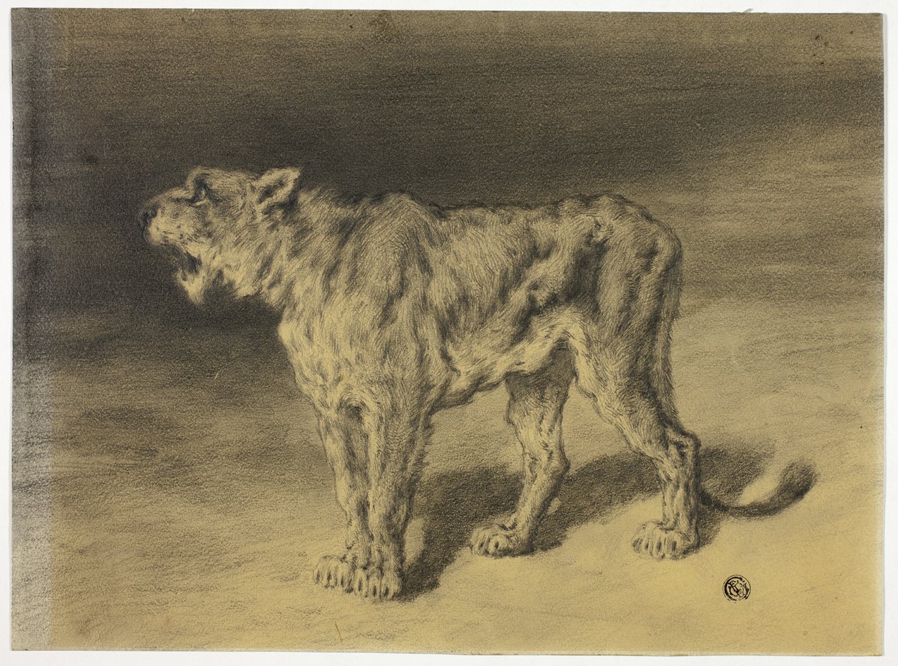 Løvindens brølen af Frederik William Zurcher