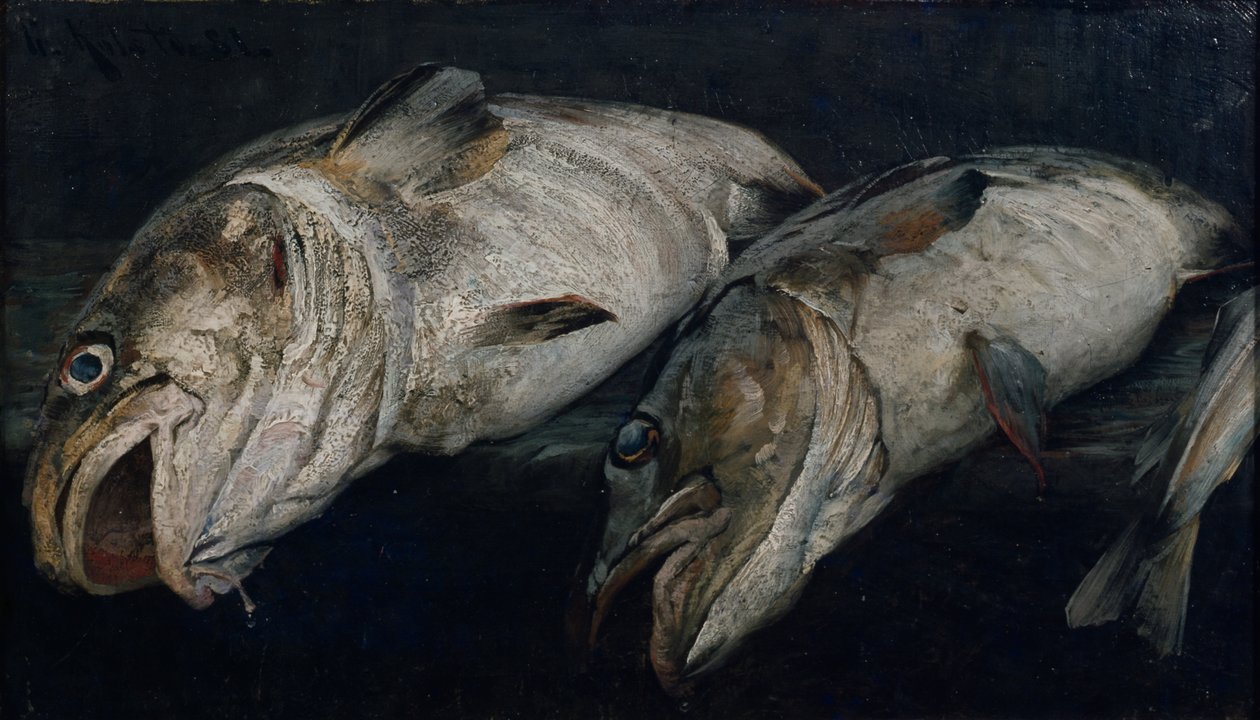 Torsk af Fredrik Kolstoe