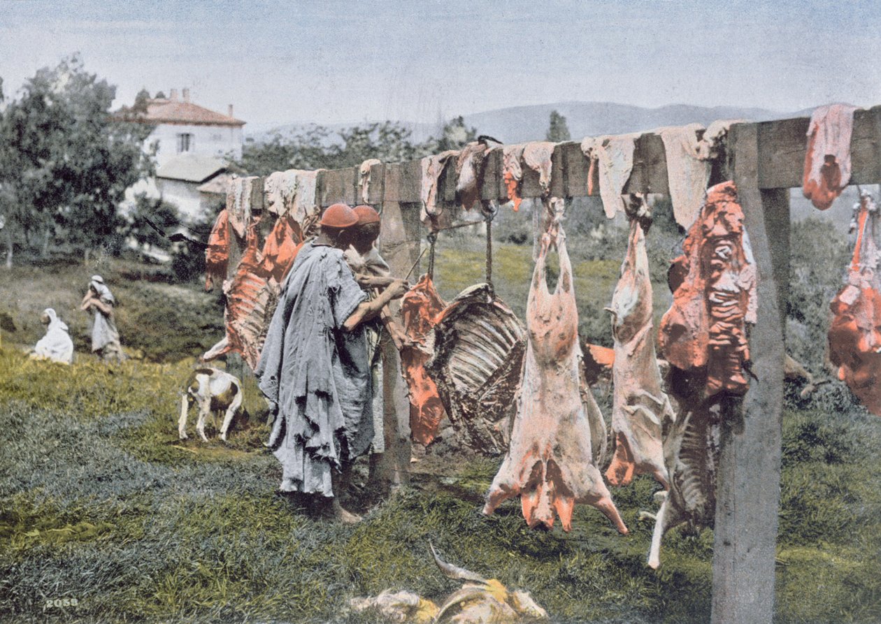 Arabisk slagtning i Algeriet, slutningen af det 19. århundrede af French Photographer