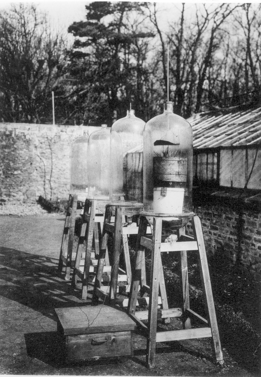 Klokkeglas bruges til at studere atmosfærisk nitrogen under påvirkning af elektricitet på stationen Marcellin Bertholet, Meudon, fra en bog om 400 år af College de France, udgivet i 1930 (bw ph) af French Photographer