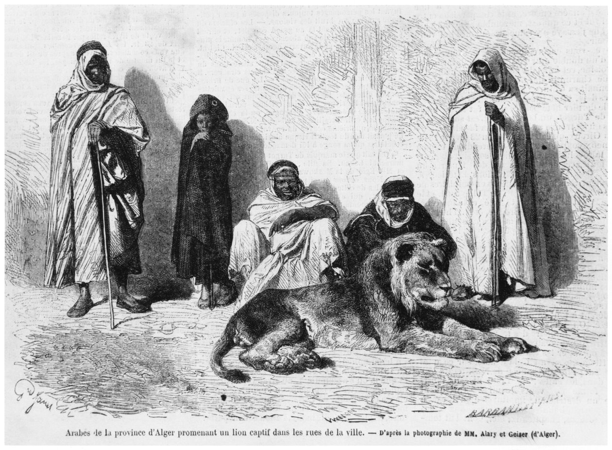Gruppe af arabiske mænd fra provinsen Algier, der går rundt med en fanget løve i byens gader, fra Le Monde Illustre, januar 1864 af French Photographer