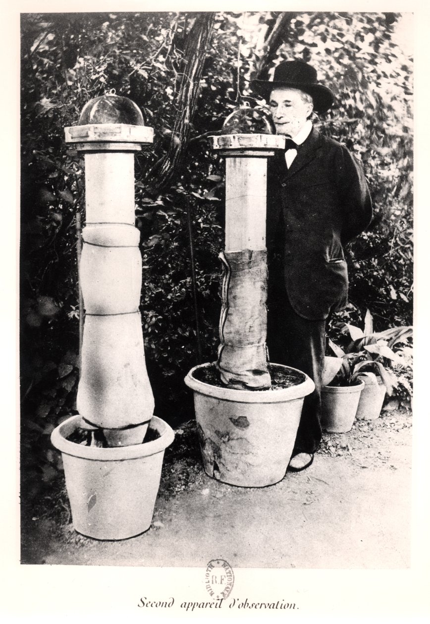 Jean-Henri Fabre (1823-1915) fra Souvenirs Entomologiques, udgivet i 1924 af French Photographer