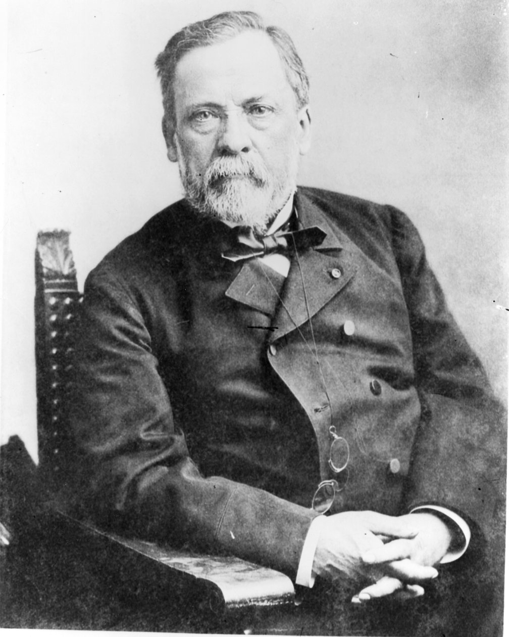 Louis Pasteur (1822-95) af French Photographer