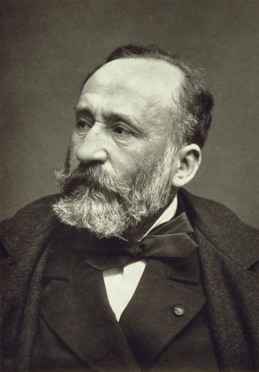 Pierre Cecile Puvis de Chavannes (1824-98), fra Galerie Contemporaine, ca. 1874-78 af French Photographer