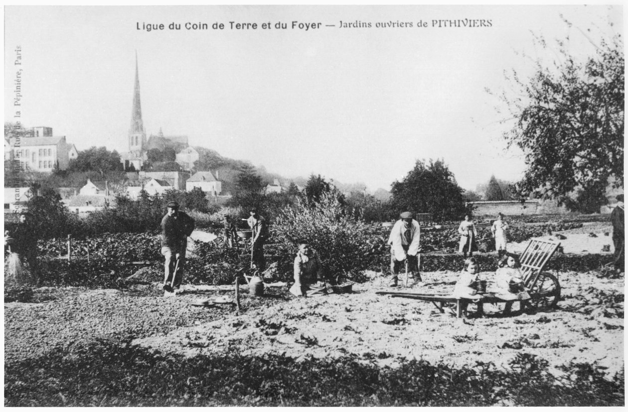 Postkort, der forestiller køkkenhaver for arbejdere i Pithiviers, før 1914 af French Photographer
