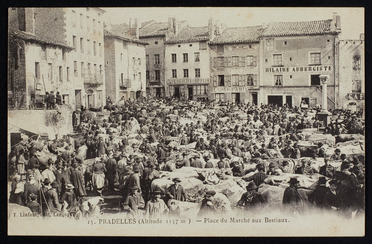 Postkort, der forestiller kvægmarkedet i Pradelles, ca. 1900 af French Photographer