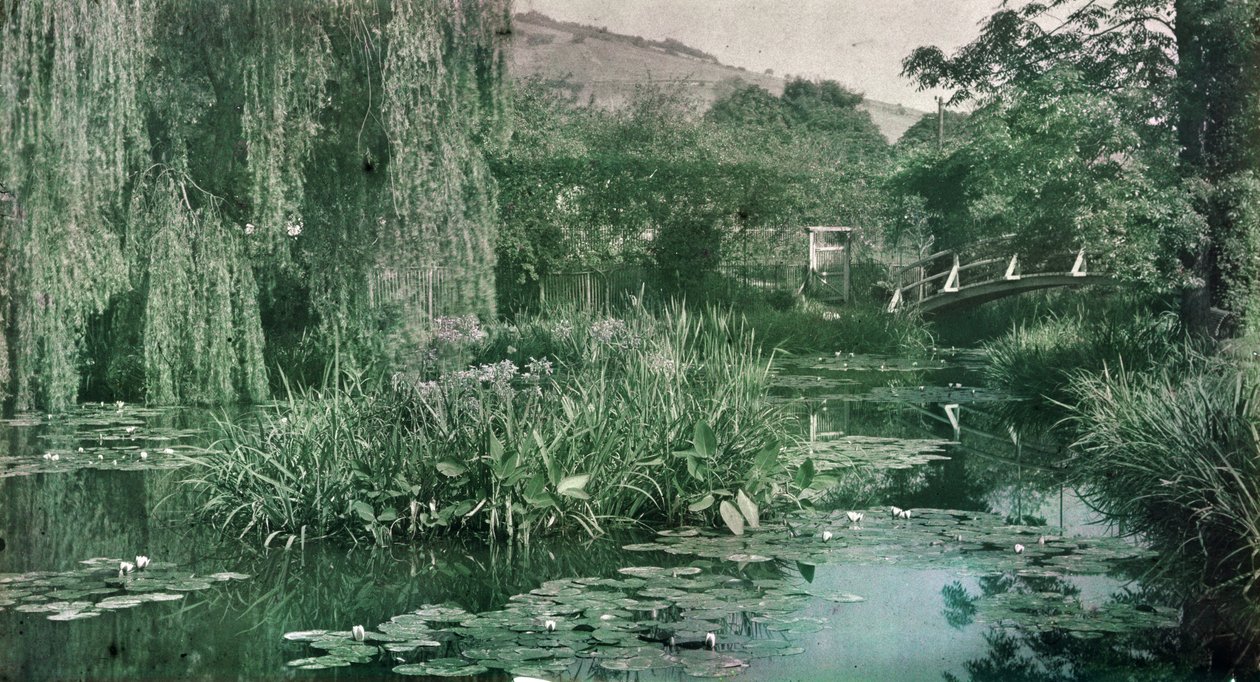 Åkandedam og japansk bro i Monets have ved Giverny, begyndelsen af 1920