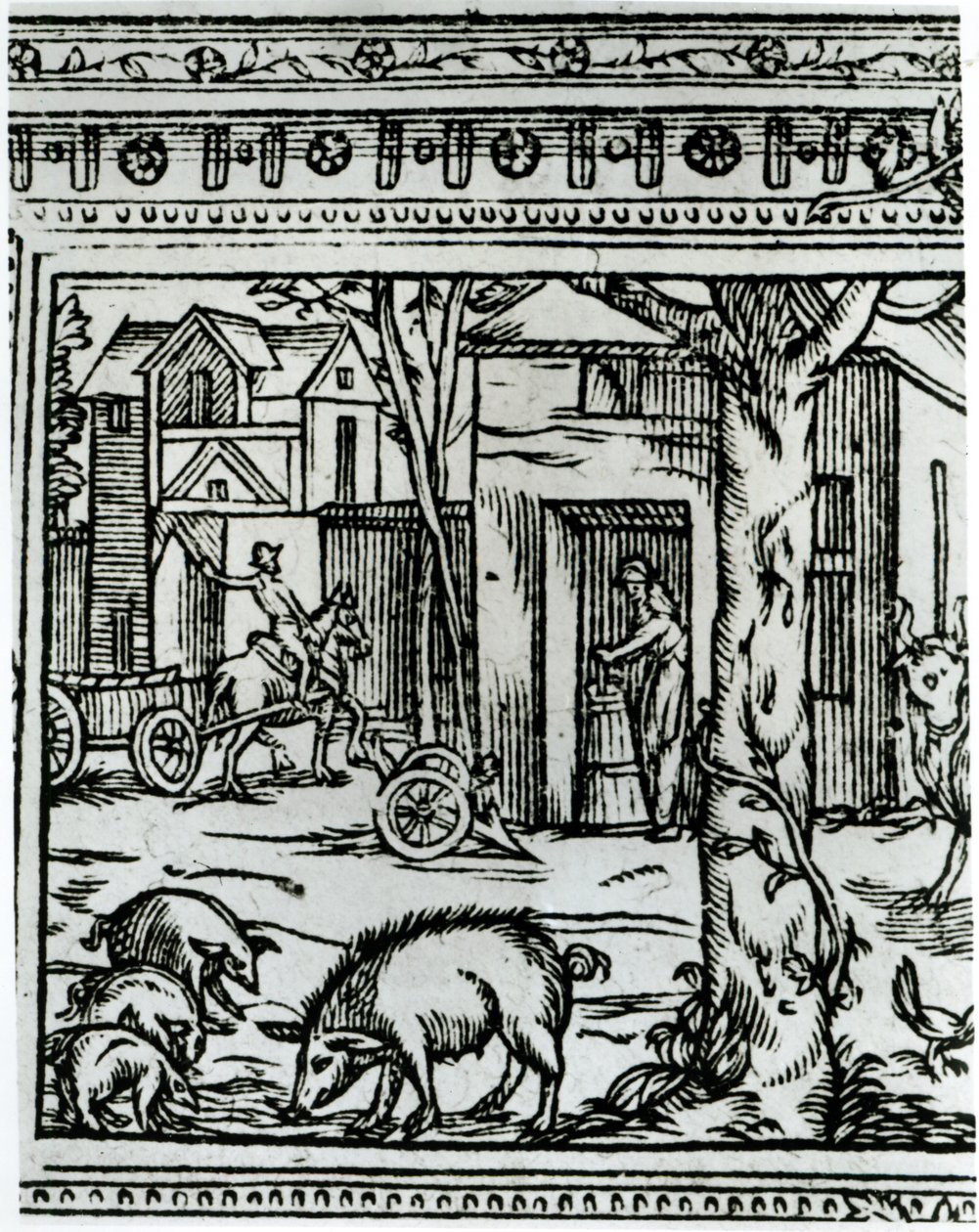 En gård, illustration fra 