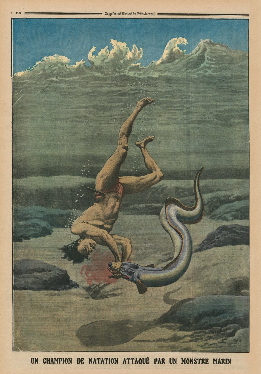 En svømmemester angrebet af et havmonster, bagsideillustration fra 