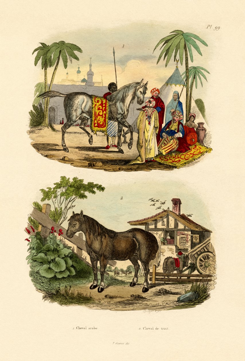 Arabisk hest, 1833-39 af French School