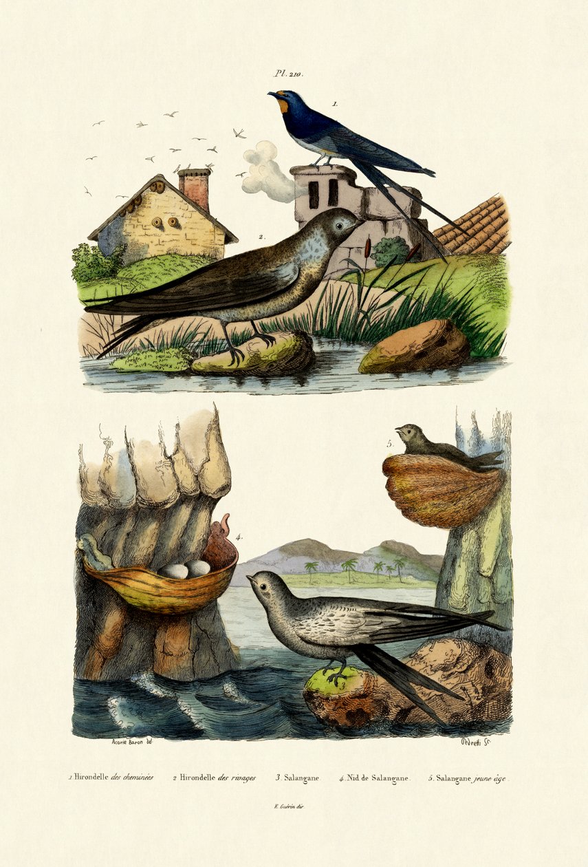 Ladesvale, 1833-39 af French School