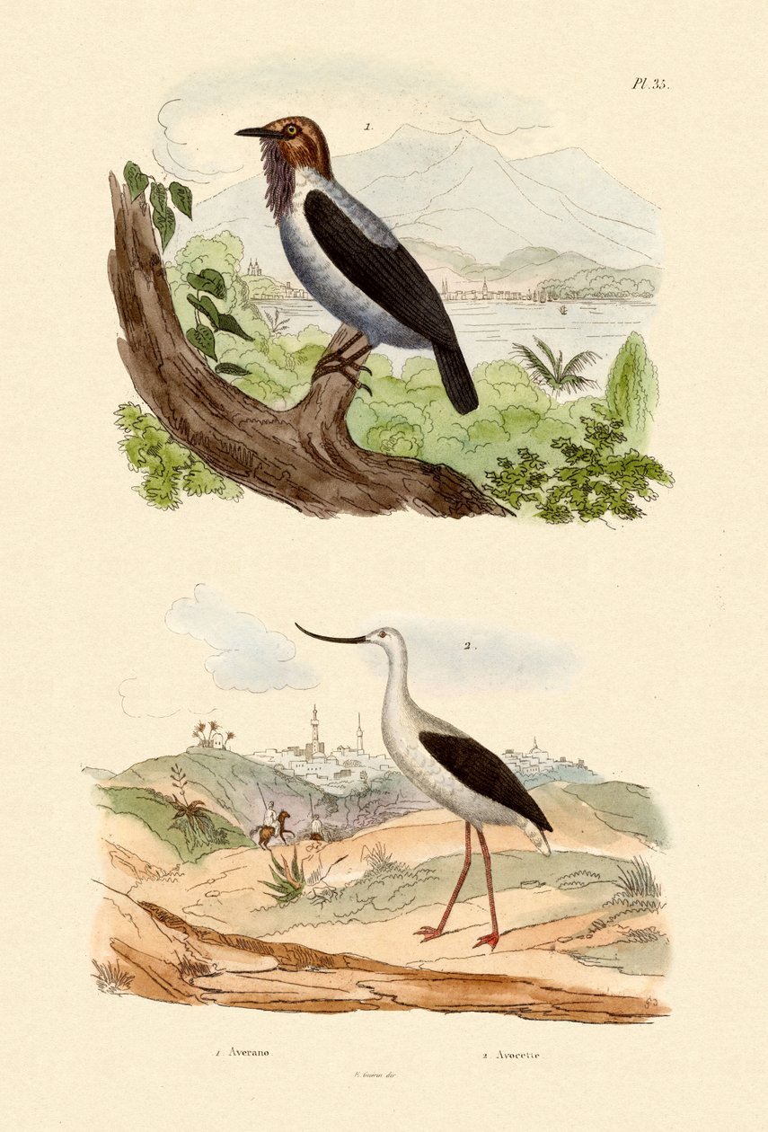 Skægklokke, 1833-39 af French School