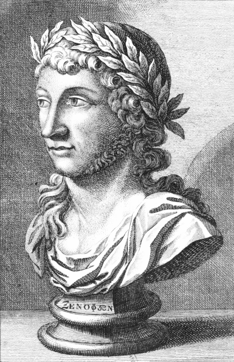 Buste af Xenophanes (ca. 560-c. 478 f.Kr.) af French School