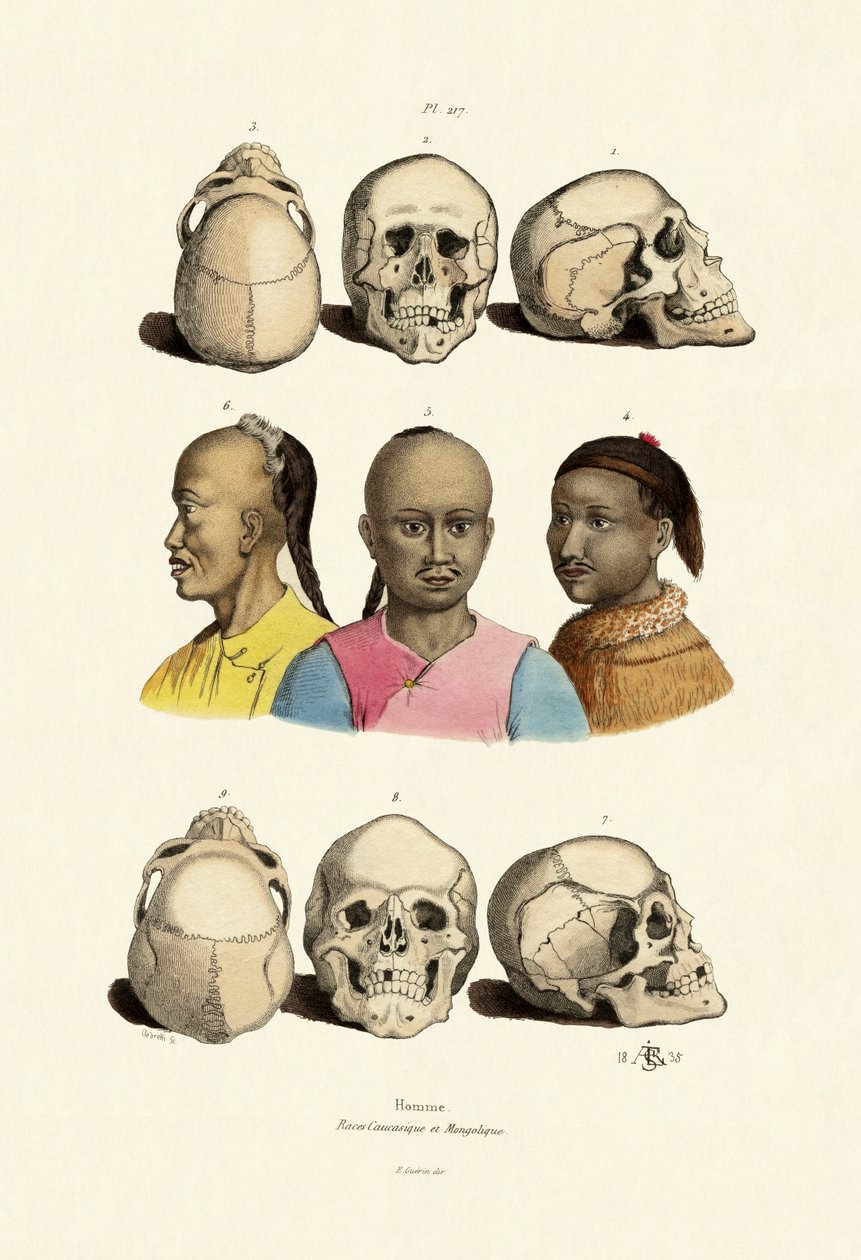 kaukasiere, 1833-39 af French School