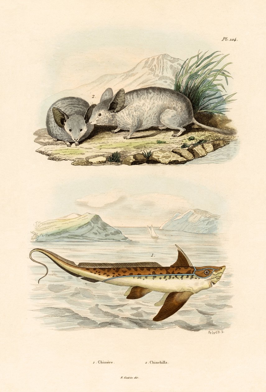 Chimaera, 1833-39 af French School