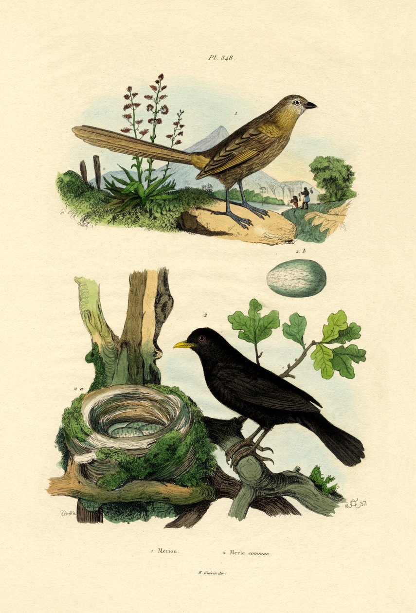 Eventyrsmutte, 1833-39 af French School