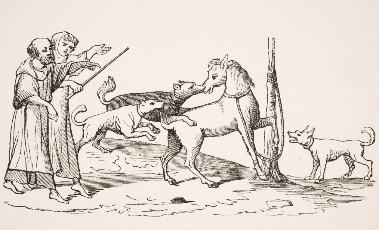 Kamp mellem hest og hunde, gengivelse af miniature i et manuskript fra det 13. århundrede, fra 