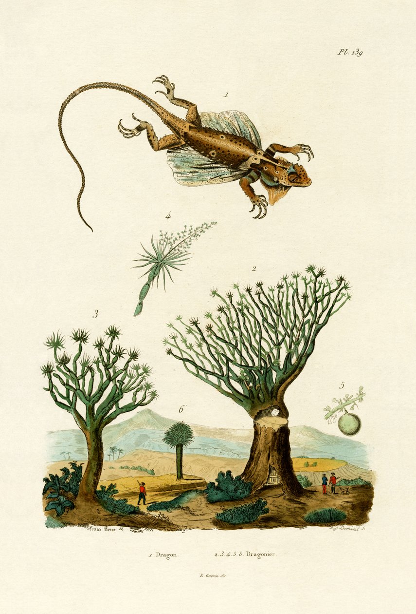 Flyvende Drage, 1833-39 af French School