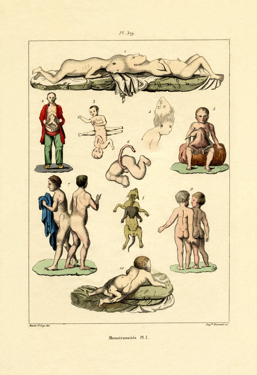 Freak, 1833-39 af French School