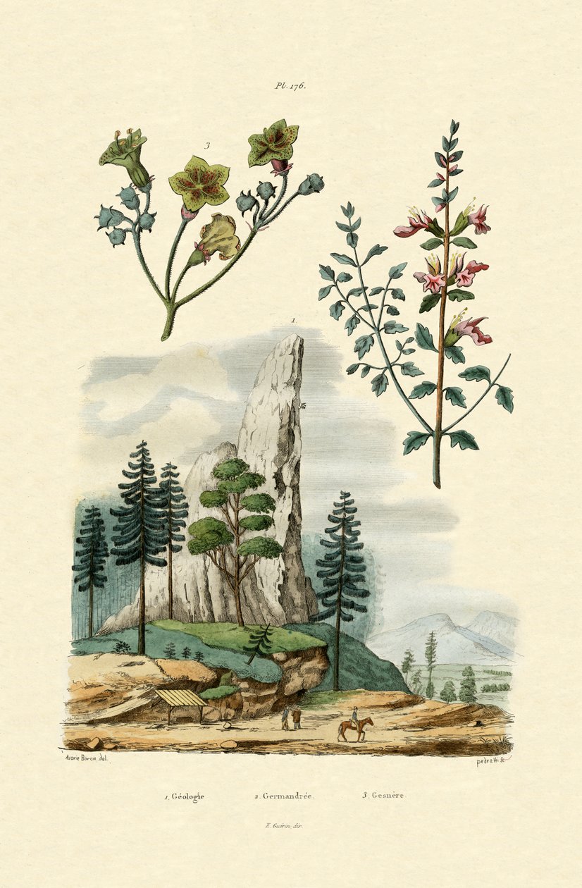 Geologi, 1833-39 af French School