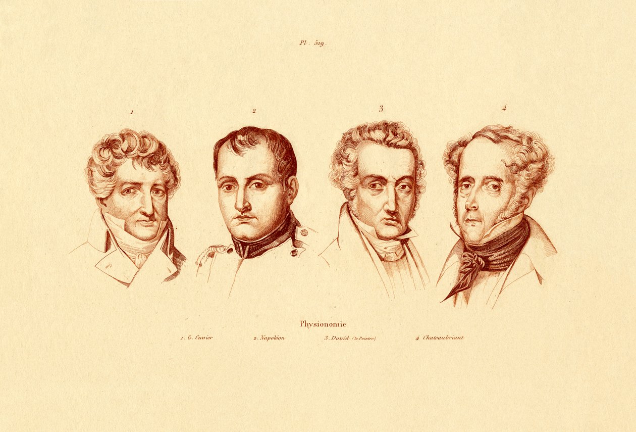 Hoveder, 1833-39 af French School