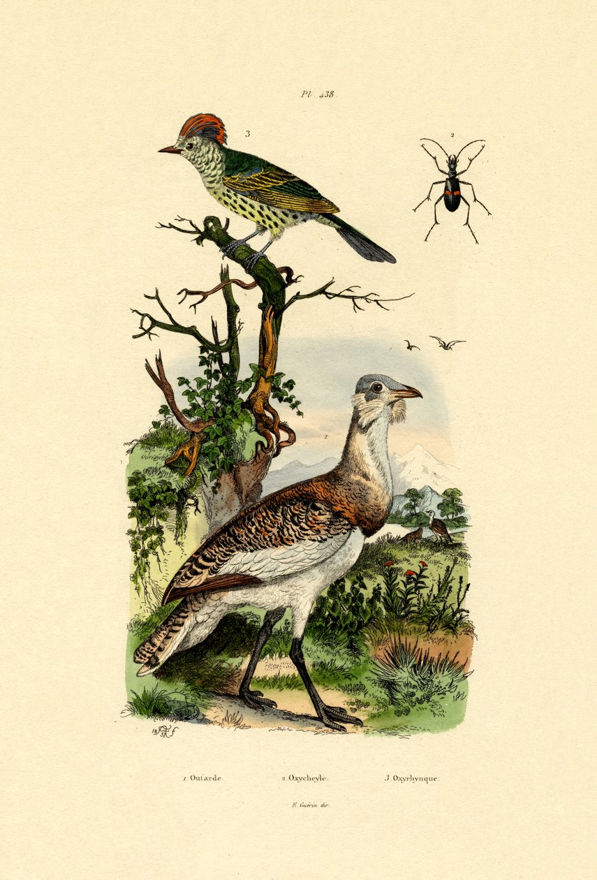 Lille Trap, 1833-39 af French School