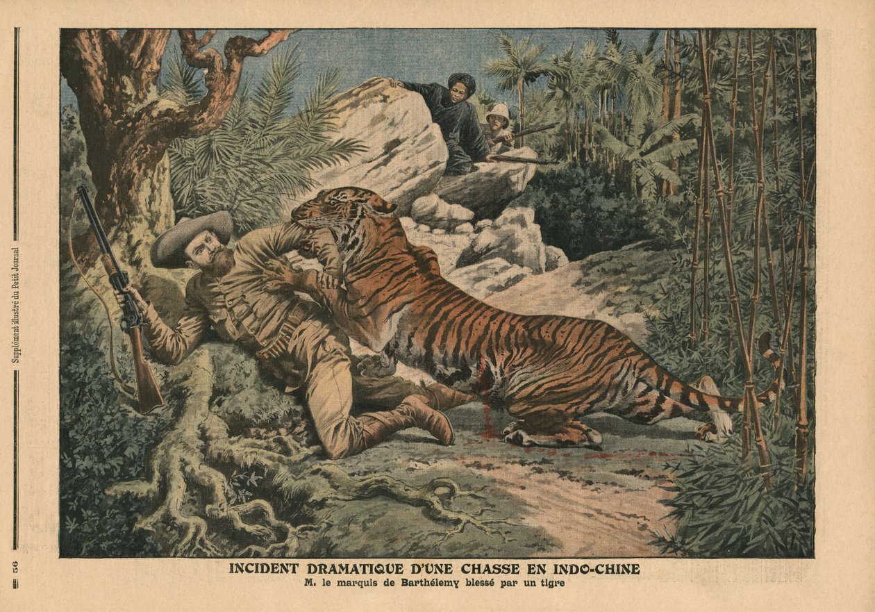 Marquis of Barthelemy såret af en tiger, illustration fra 