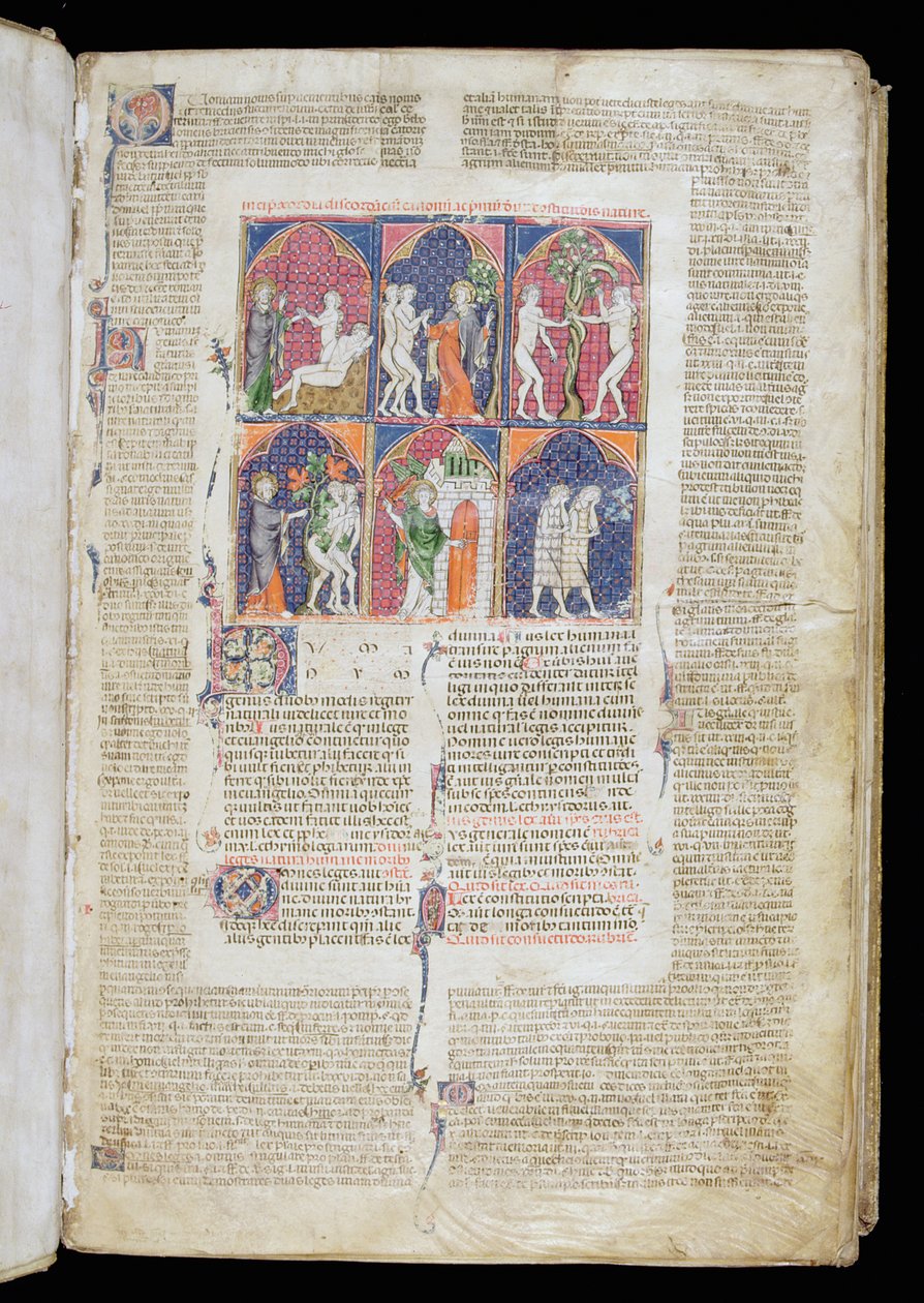 Frk. 262, f.1r: Seks scener af skabelse og fald fra Gratians Decretum, ca. 1300 af French School