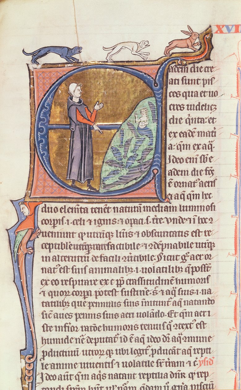 Fru 426 fol. 213 En læge ved en fiskedam, fra 