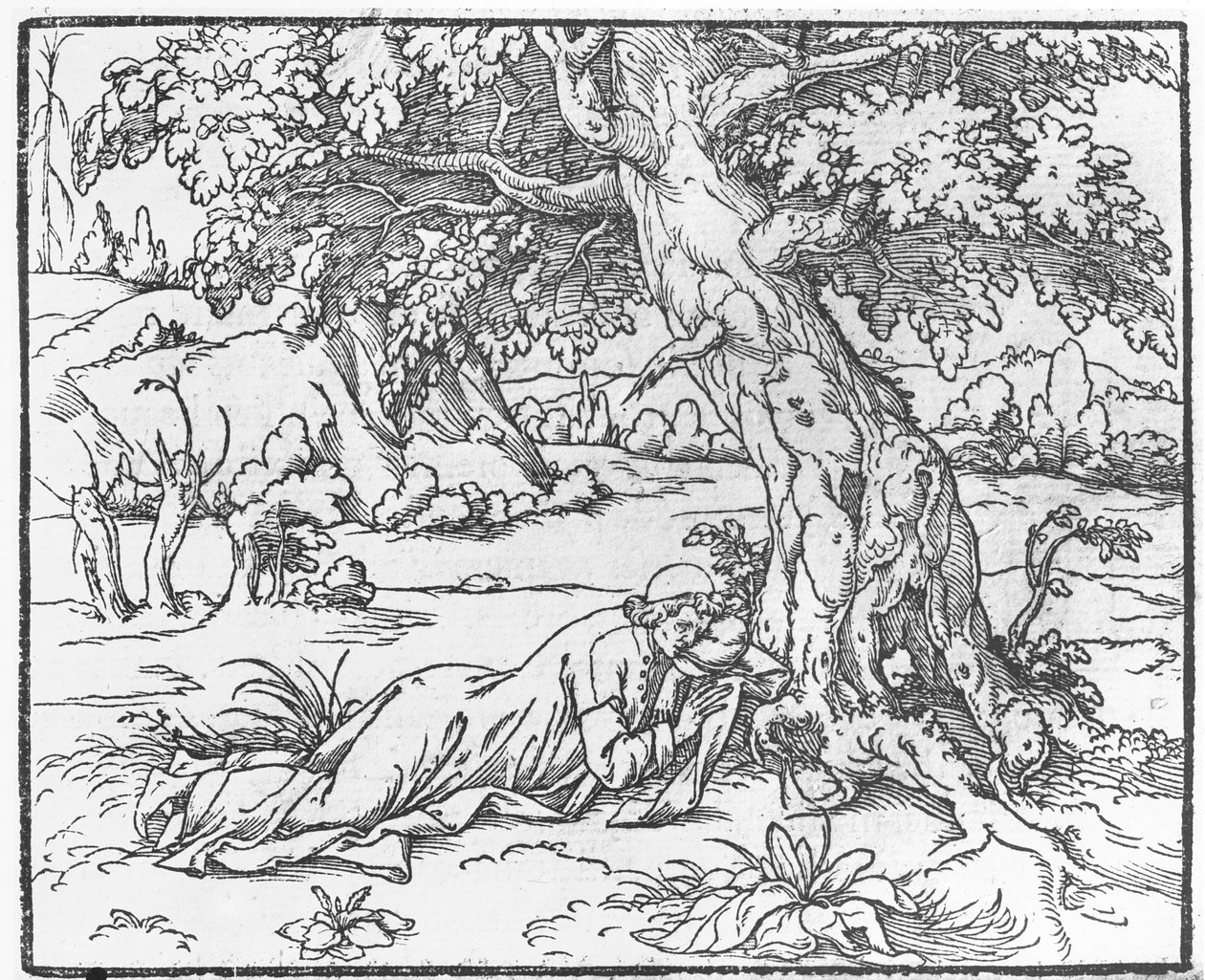 Side fra Speech of the Dream of Poliphile, af Francesco Colonna, 1546 af French School