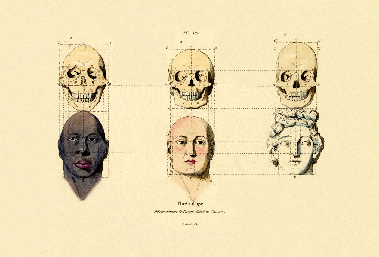 Frenologi, 1833-39 af French School