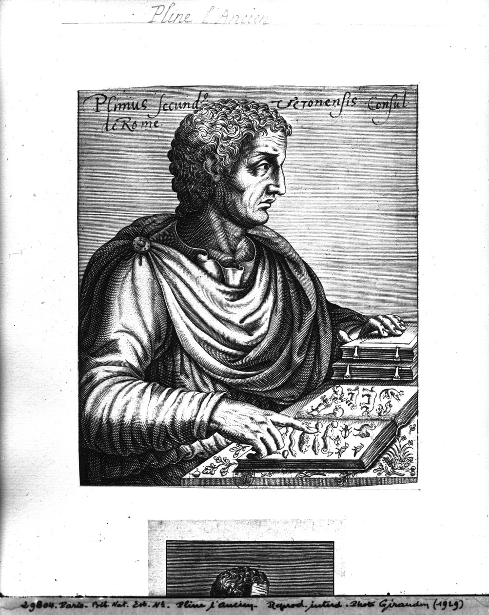 Plinius den Ældre (23-79 e.Kr.) af French School