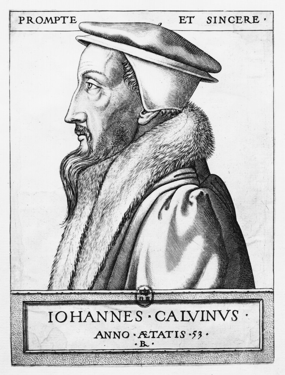 Portræt af John Calvin (1509-64) i en alder af 53, 1564 af French School