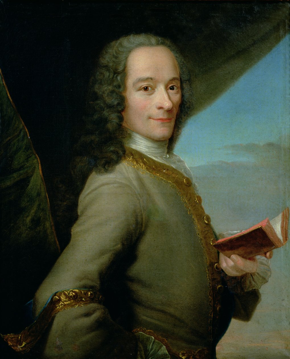 Portræt af den unge Voltaire (1694-1778) af French School