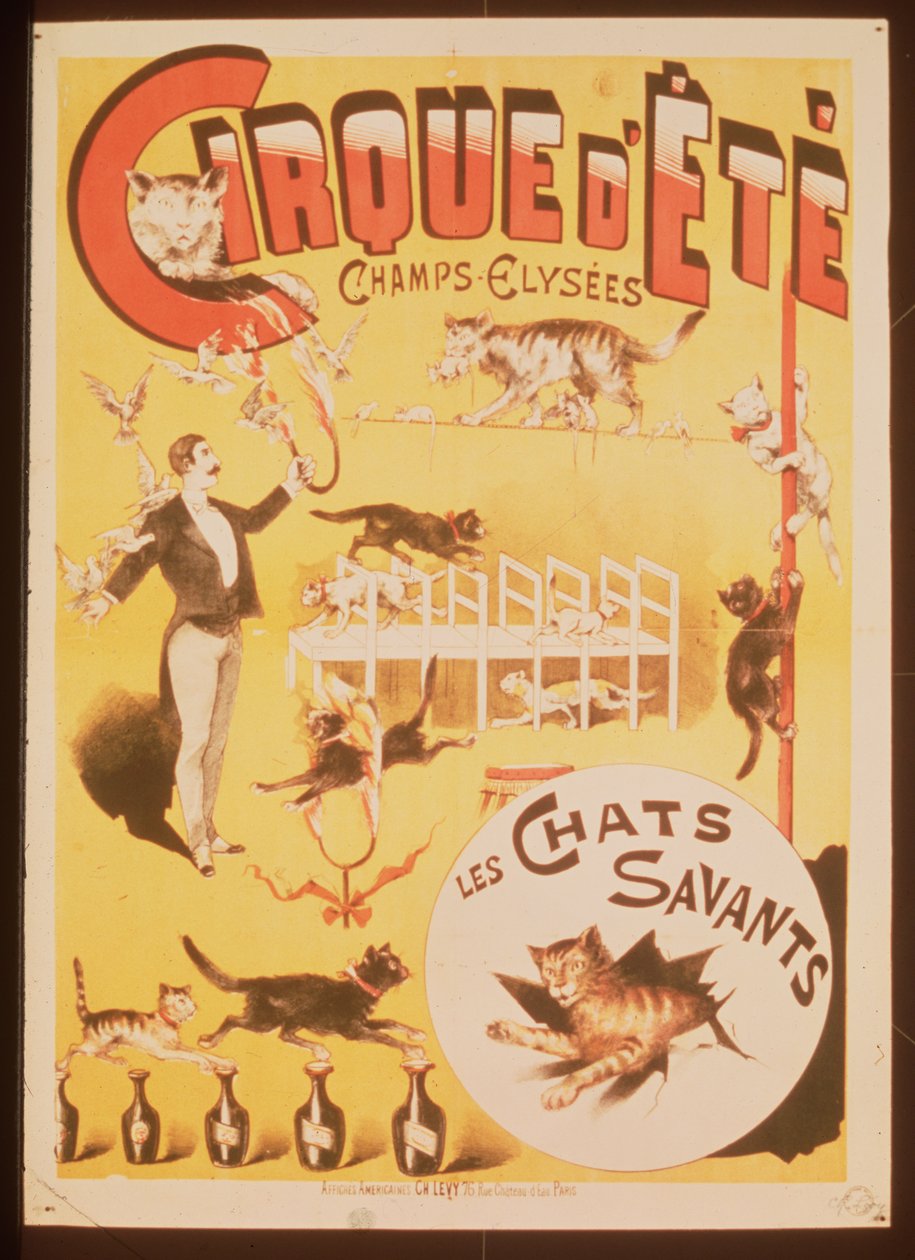 Plakat, der reklamerer for Cirque d