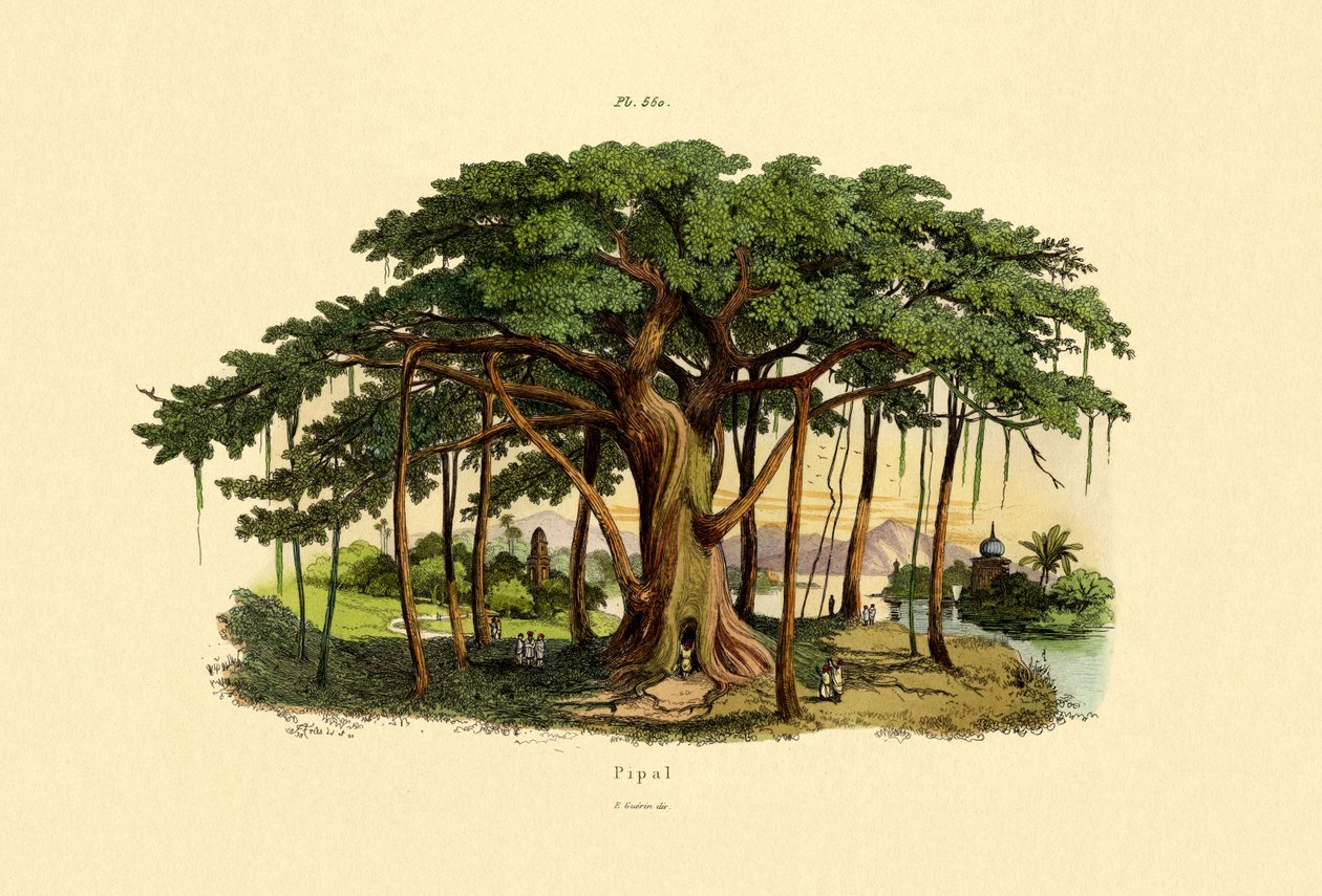 Hellig Figen, 1833-39 af French School