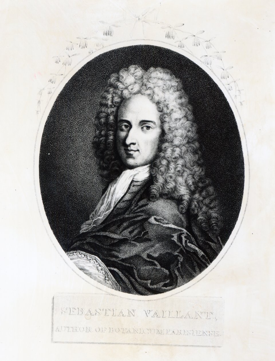 Sebastien Vaillant af French School