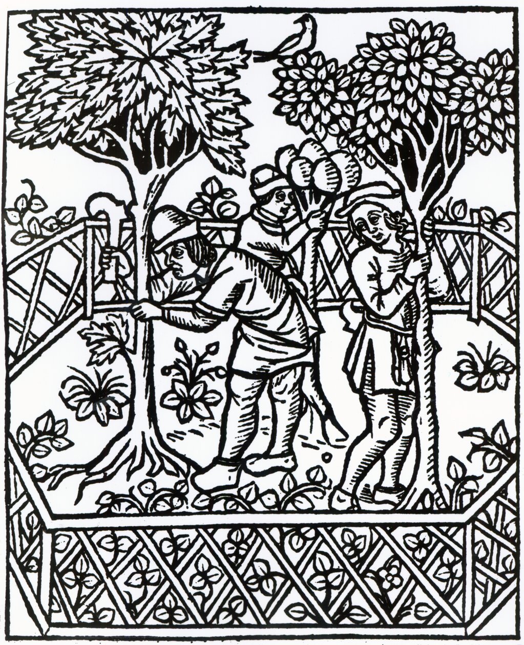 Tending Vines fra 